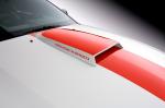 Ford Mustang Speedster by Roush 2008 года